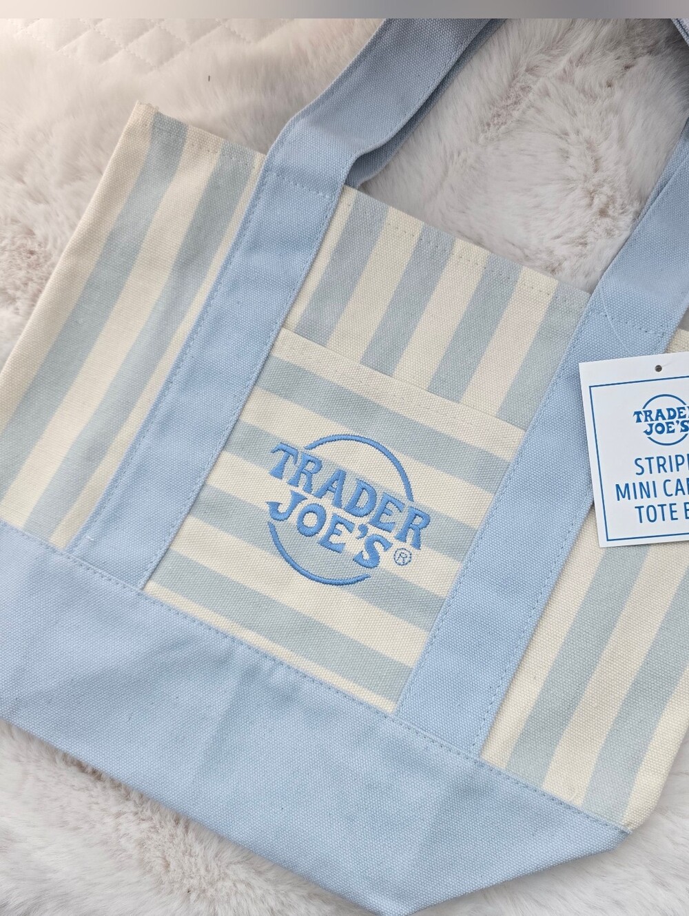 *NWT* Trader Joe's Striped Mini Canvas Tote in Light Blue & Cream